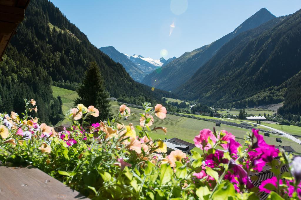Haus Mary Apartment Neustift im Stubaital Luaran gambar